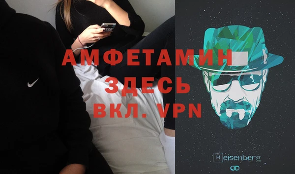 прущие грибы Касимов
