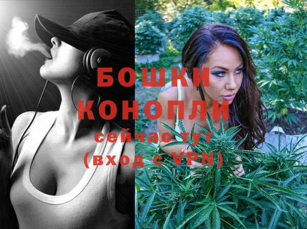 прущие грибы Касимов