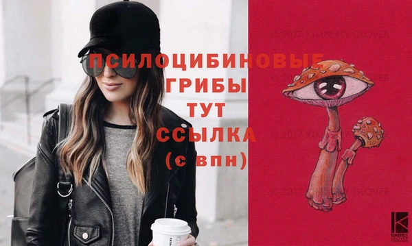 apvp Карпинск