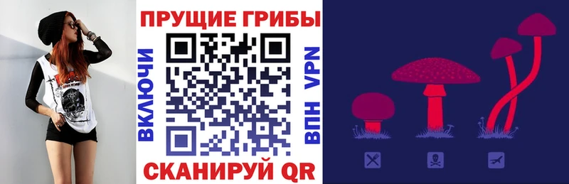 Псилоцибиновые грибы GOLDEN TEACHER  Купить  Сызрань 
